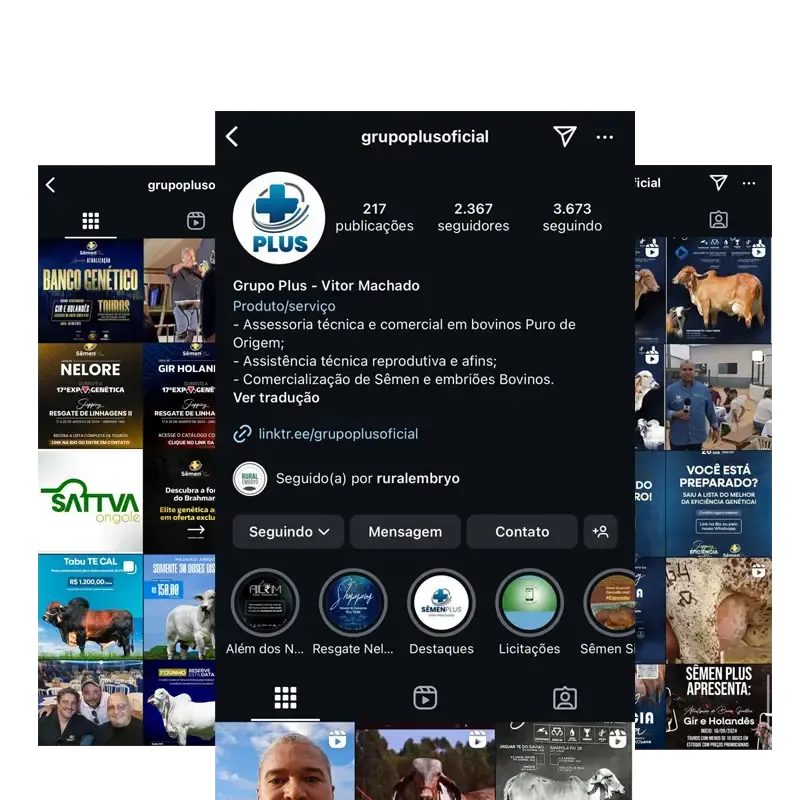 Perfil do Instagram de Grupo Plus, gerenciado pela Minduba Digital